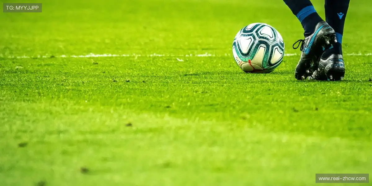 赛事组织成本控制更具弹性